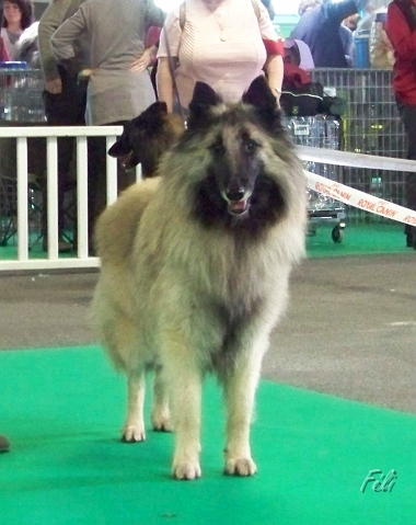 n°78 Banzai du parc jonageois 5283.jpg